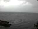 ./images/koeye/fitz-hugh/20141005/fitz-hugh20141005_153503.jpg