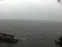 ./images/koeye/fitz-hugh/20141005/fitz-hugh20141005_161002.jpg