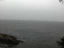 ./images/koeye/fitz-hugh/20141005/fitz-hugh20141005_162503.jpg