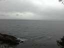 ./images/koeye/fitz-hugh/20141005/fitz-hugh20141005_164502.jpg
