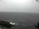 ./images/koeye/fitz-hugh/20141005/fitz-hugh20141005_170502.jpg