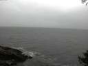 ./images/koeye/fitz-hugh/20141005/fitz-hugh20141005_172003.jpg