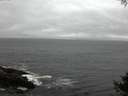 ./images/koeye/fitz-hugh/20141005/fitz-hugh20141005_185002.jpg