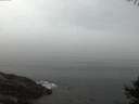 ./images/koeye/fitz-hugh/20141006/fitz-hugh20141006_071001.jpg