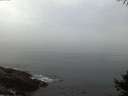 ./images/koeye/fitz-hugh/20141006/fitz-hugh20141006_071502.jpg
