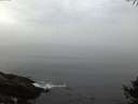 ./images/koeye/fitz-hugh/20141006/fitz-hugh20141006_072003.jpg