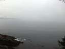 ./images/koeye/fitz-hugh/20141006/fitz-hugh20141006_072503.jpg