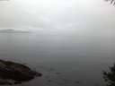 ./images/koeye/fitz-hugh/20141006/fitz-hugh20141006_073503.jpg