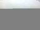 ./images/koeye/fitz-hugh/20141006/fitz-hugh20141006_074002.jpg