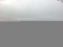 ./images/koeye/fitz-hugh/20141006/fitz-hugh20141006_074501.jpg