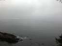 ./images/koeye/fitz-hugh/20141006/fitz-hugh20141006_075003.jpg