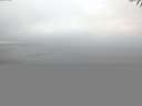./images/koeye/fitz-hugh/20141006/fitz-hugh20141006_075502.jpg