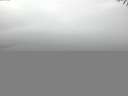 ./images/koeye/fitz-hugh/20141006/fitz-hugh20141006_080002.jpg