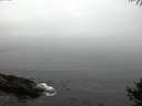 ./images/koeye/fitz-hugh/20141006/fitz-hugh20141006_080503.jpg