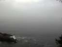 ./images/koeye/fitz-hugh/20141006/fitz-hugh20141006_081002.jpg