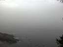 ./images/koeye/fitz-hugh/20141006/fitz-hugh20141006_081503.jpg