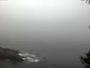 ./images/koeye/fitz-hugh/20141006/fitz-hugh20141006_082003.jpg