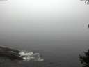 ./images/koeye/fitz-hugh/20141006/fitz-hugh20141006_082503.jpg