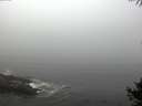 ./images/koeye/fitz-hugh/20141006/fitz-hugh20141006_083503.jpg