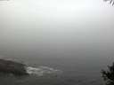./images/koeye/fitz-hugh/20141006/fitz-hugh20141006_084002.jpg