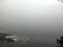 ./images/koeye/fitz-hugh/20141006/fitz-hugh20141006_084502.jpg
