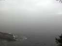 ./images/koeye/fitz-hugh/20141006/fitz-hugh20141006_085002.jpg
