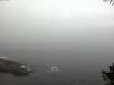 ./images/koeye/fitz-hugh/20141006/fitz-hugh20141006_085501.jpg