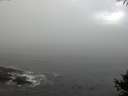 ./images/koeye/fitz-hugh/20141006/fitz-hugh20141006_090501.jpg