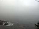 ./images/koeye/fitz-hugh/20141006/fitz-hugh20141006_091002.jpg