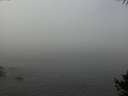 ./images/koeye/fitz-hugh/20141006/fitz-hugh20141006_102502.jpg