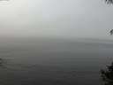 ./images/koeye/fitz-hugh/20141006/fitz-hugh20141006_111501.jpg