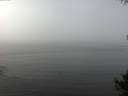 ./images/koeye/fitz-hugh/20141006/fitz-hugh20141006_112002.jpg