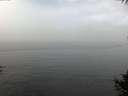 ./images/koeye/fitz-hugh/20141006/fitz-hugh20141006_112501.jpg