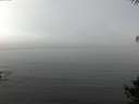 ./images/koeye/fitz-hugh/20141006/fitz-hugh20141006_113502.jpg