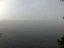 ./images/koeye/fitz-hugh/20141006/fitz-hugh20141006_114002.jpg