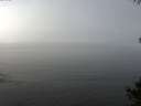 ./images/koeye/fitz-hugh/20141006/fitz-hugh20141006_114502.jpg