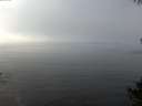 ./images/koeye/fitz-hugh/20141006/fitz-hugh20141006_115502.jpg