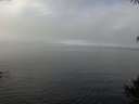 ./images/koeye/fitz-hugh/20141006/fitz-hugh20141006_120003.jpg