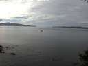 ./images/koeye/fitz-hugh/20141006/fitz-hugh20141006_134501.jpg