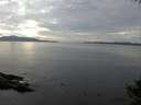 ./images/koeye/fitz-hugh/20141006/fitz-hugh20141006_145002.jpg