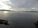 ./images/koeye/fitz-hugh/20141006/fitz-hugh20141006_145503.jpg