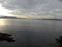 ./images/koeye/fitz-hugh/20141006/fitz-hugh20141006_150503.jpg
