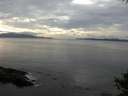 ./images/koeye/fitz-hugh/20141006/fitz-hugh20141006_152503.jpg