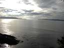 ./images/koeye/fitz-hugh/20141006/fitz-hugh20141006_161502.jpg