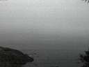./images/koeye/fitz-hugh/20141007/fitz-hugh20141007_070502.jpg