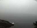 ./images/koeye/fitz-hugh/20141007/fitz-hugh20141007_071003.jpg