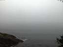 ./images/koeye/fitz-hugh/20141007/fitz-hugh20141007_071502.jpg
