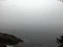 ./images/koeye/fitz-hugh/20141007/fitz-hugh20141007_072001.jpg