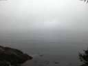 ./images/koeye/fitz-hugh/20141007/fitz-hugh20141007_072502.jpg