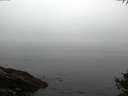 ./images/koeye/fitz-hugh/20141007/fitz-hugh20141007_073502.jpg
